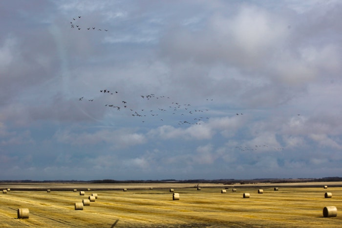 Stress, zwangerschap en gelukkig zijn