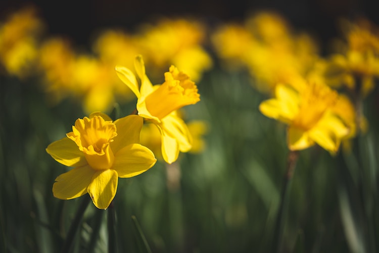 Narcisme: hoe hou je je staande naast een narcist?